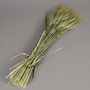 Hair accessories - Hodeum dried natural bearded wheat - LE COMPTOIR.COM