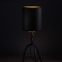 Decorative objects - Bronze Sauvage Lamp - PLUMBUM