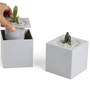 Floral decoration - Hill Pot : Self-Watering Plant Pot for indoor and outdoor garden : Recycled Plastic Office Equipment Container - QUALY DESIGN OFFICIAL