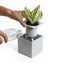 Floral decoration - Oasis Tray : Self-Watering Plant Tray for indoor and outdoor garden pot - QUALY DESIGN OFFICIAL