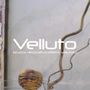 Revêtements sols intérieurs - Stuc Velours Velluto - ERASME GROUP