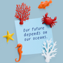 Objets de décoration -  Aimants à ailerons de requin : Collection Ocean Papeery : matériaux 100% recyclables respectueux de l'environnement. - QUALY DESIGN OFFICIAL
