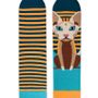 Socks - Socks Cats - PIRIN HILL