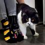 Socks - Socks Cats - PIRIN HILL