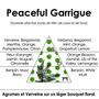 Fragrance for women & men - Peaceful Garrigue - Verbena and Citrus Eau de toilette - RIVAE