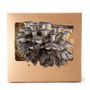 Delicatessen - Organic grey oyster mushrooms growing kit. - RADIS ET CAPUCINE