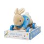 Gifts - Pierre Rabbit Pull Along Toy - PETIT POUCE FACTORY