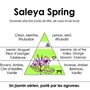 Parfums pour soi et eaux de toilette - Saleya Spring - Eau de toilette Agrumes et Jasmin - RIVAE