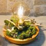 Table lamps - Spirit of Nature Lamp - ATELIER TAMBONE