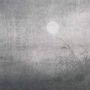 Papiers peints - Panneau Lune Argent - ETOFFE.COM