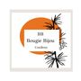 Bougies - Bougie Bijou Conifères - BOUGIE BIJOU