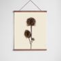 Poster - Withered botanicals - LILJEBERGS