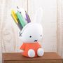 Licensed products - 3D POCHI miffy - P+G DESIGN