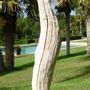 Decorative objects - Driftwood Sculptures - DECO-NATURE