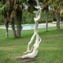 Decorative objects - Driftwood Sculptures - DECO-NATURE