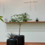 Vases - PLANT POT HACHI No.3 - FUJITA KINZOKU