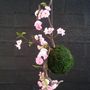 Floral decoration - Kokedama Japanese decoration - DECO-NATURE
