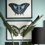 Autres décorations murales - Art encadré : Beau Papillon - G & C INTERIORS A/S