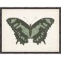 Other wall decoration - Framed art: Beautiful Butterfly - G & C INTERIORS A/S
