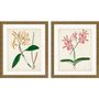 Autres décorations murales - Art encadré : Paire d'orchidées - G & C INTERIORS A/S