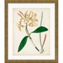 Other wall decoration - Framed art: Orchid pair - G & C INTERIORS A/S