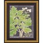 Other wall decoration - Framed art: Dramatic Greenery - G & C INTERIORS A/S