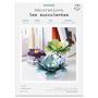 Décorations florales - Kit créatif - Décoration - Les succulentes - FRENCH KITS