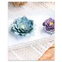 Floral decoration - Creative kit - Decoration - Succulents - FRENCH KITS