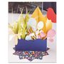 Floral decoration - Creative kit - Decoration - Planter - FRENCH KITS