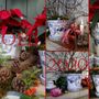 Décorations florales - Le pot de la Reine Marie-Antoinette pour les fêtes de Noël - MANUFACTURE NORMAND