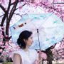 Homewear - Parapluie SAKASA - ATELIER TANTAN