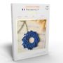 Gifts - DIY macrame kit - Sun Pendant - FRENCH KITS