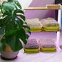 Shelves - Bitsy double - GILĖ SPROUT