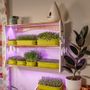 Shelves - Blossom Trio - GILĖ SPROUT