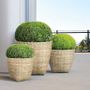 Poterie - CANXE Bambou - Pot de fleurs de forme ronde avec base carrée - NEXX DECOR LTD