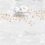 Other wall decoration - Wallpanel  Swallow Cloud Ambre - PAPERMINT
