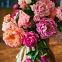 Floral decoration - Coral Charming Peonies - Silk-ka Artificial flowers and plants for life! - SILK-KA
