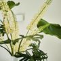 Floral decoration - Tropical leaves - Silk-ka Artificial flowers and plants for life! - SILK-KA