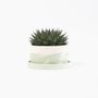 Objets design - Grand pot pour plantes - STUDIO ROSAROOM