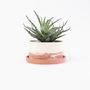 Objets design - Grand pot pour plantes - STUDIO ROSAROOM