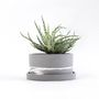 Objets design - Grand pot pour plantes - STUDIO ROSAROOM