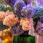 Décorations florales - Hydrangea mix colourful - Silk-ka Artificial flowers and plants for life! - SILK-KA