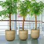Pottery - CANXE Bamboo - Round Shape with Straight Body Planter - NEXX DECOR LTD