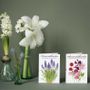 Carterie - Cartes postales fleurs - KOUSTRUP & CO