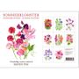 Carterie - Cartes postales fleurs - KOUSTRUP & CO