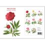 Card shop - Postcards flowers - KOUSTRUP & CO