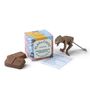 Cadeaux - PlayIn CHOC ToyChoc Boîte de dinosaures - PLAYIN CHOC