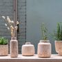 Vases - Wood pulp vases, hanging planters and flowerpots - KINTA