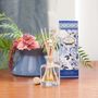 Scent diffusers - Portus Cale Gold&Blue Fragranced Diffuser - 100ml and 250ml - CASTELBEL