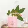 Candles - Portus Cale Candle Blush Pink - CASTELBEL